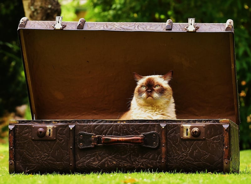 Suitcases